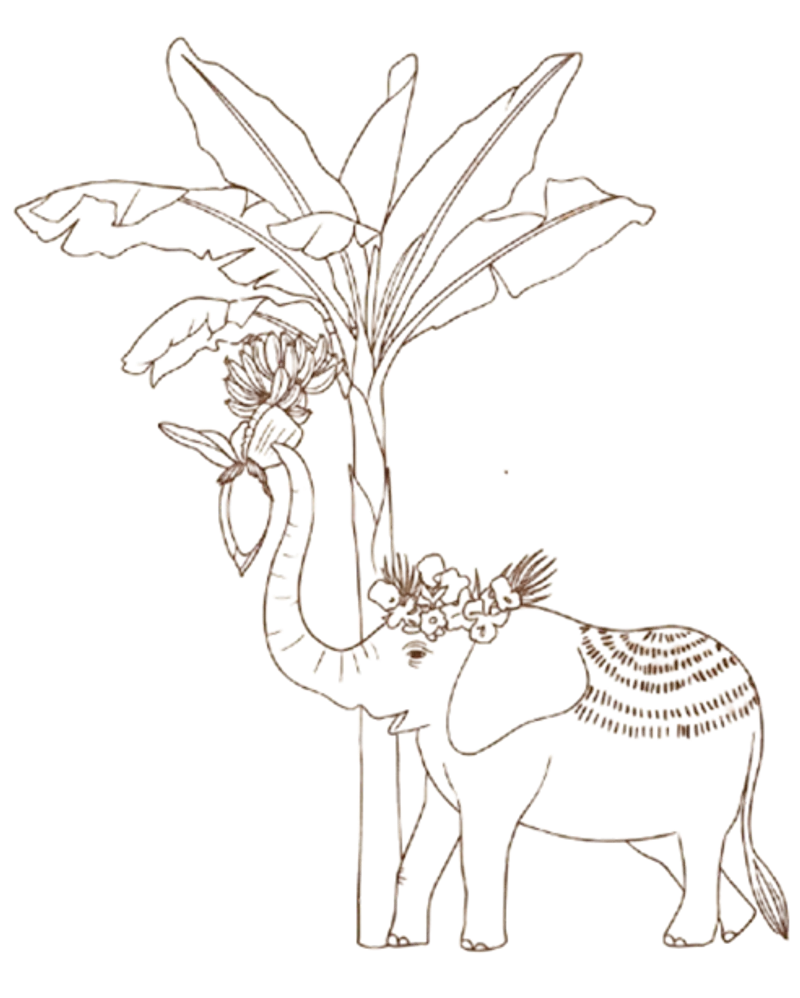 Elephant Illustration