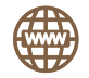 Website Icon